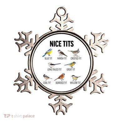 Nice Tits Pun Joke Funny Bird Lover Enthusiast Birdwatcher Ornament