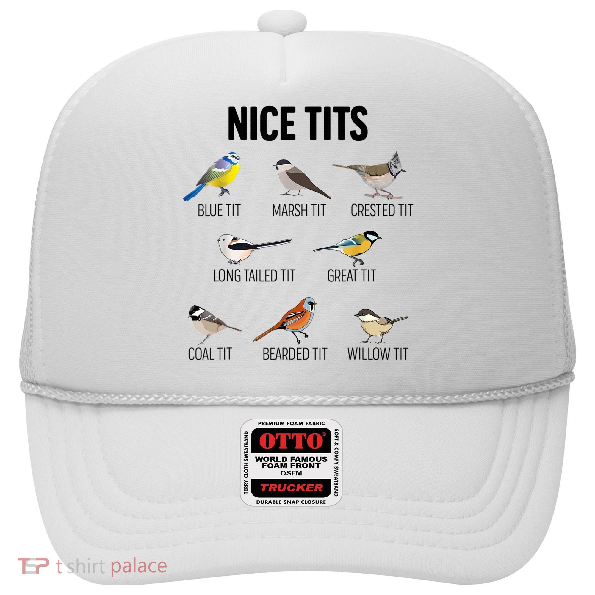 Nice Tits Pun Joke Funny Bird Lover Enthusiast Birdwatcher Hat