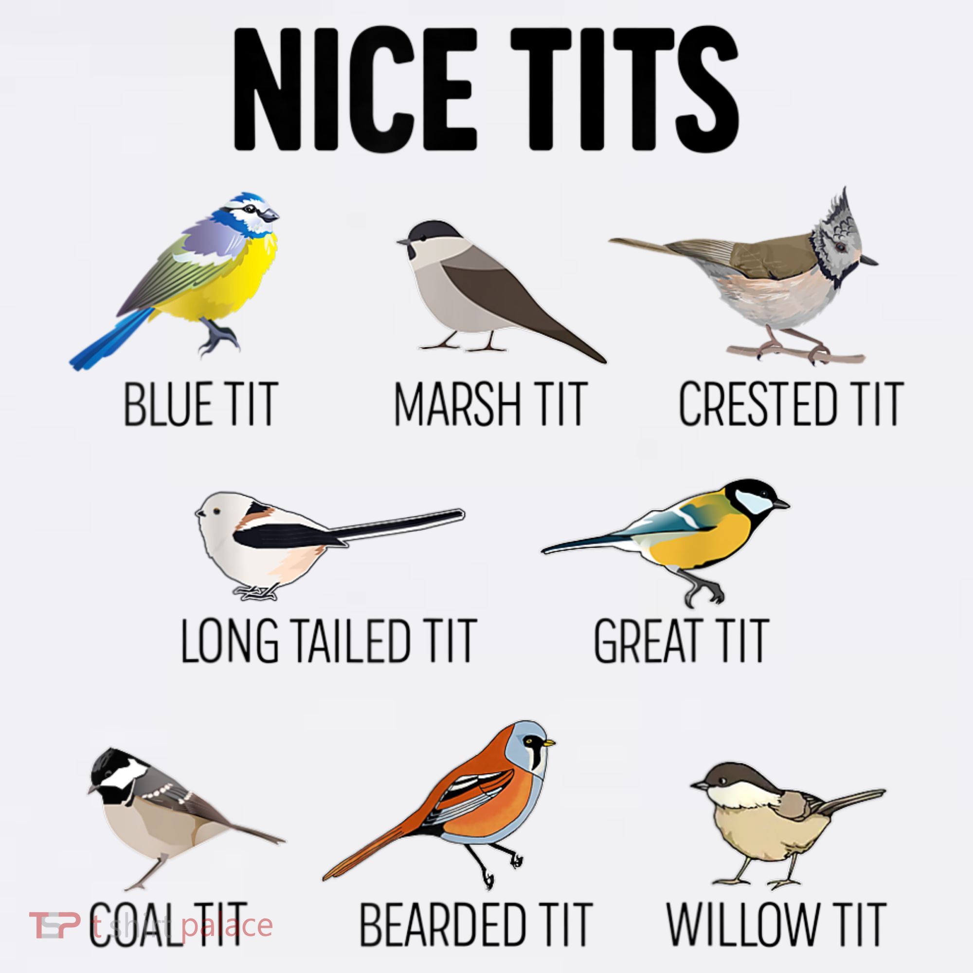 Nice Tits Pun Joke Funny Bird Lover Enthusiast Birdwatcher Women's T-Shirt