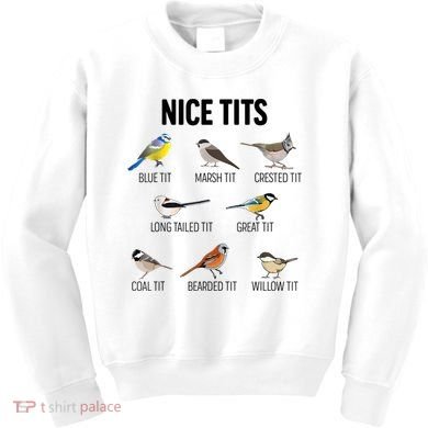 Nice Tits Pun Joke Funny Bird Lover Enthusiast Birdwatcher Kids Sweatshirt