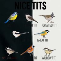 Nice Tits Pun Joke Funny Bird Lover Enthusiast Birdwatcher Toddler Fine Jersey T-Shirt thumb 2