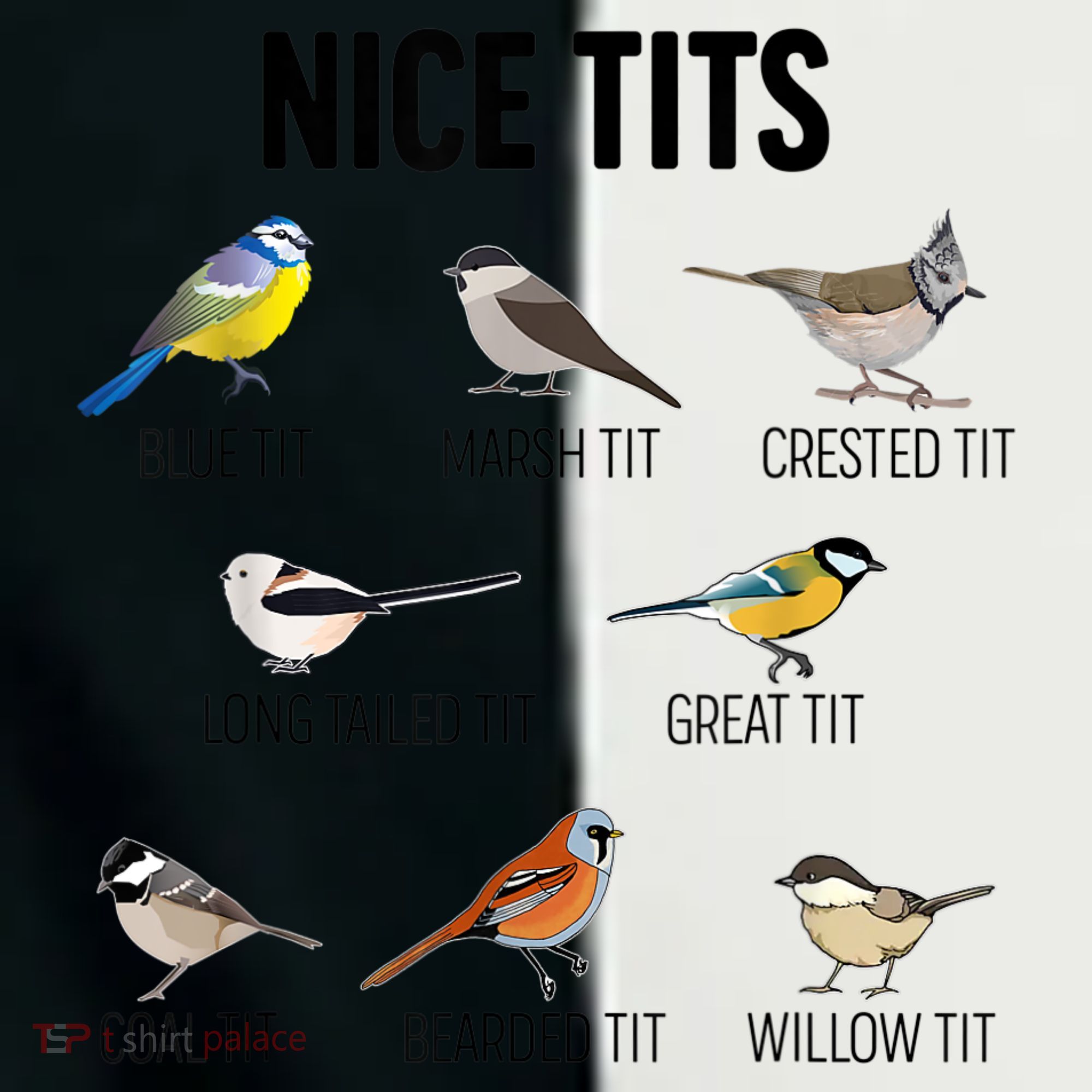 Nice Tits Pun Joke Funny Bird Lover Enthusiast Birdwatcher Toddler Fine Jersey T-Shirt