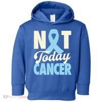 Not Today Prostate Cancer Light Blue Ribbon Awareness Gift Toddler Hoodie thumb 0