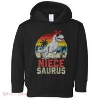 Niecesaurus T Rex Dinosaur Niece Saurus MotherS Family Toddler Hoodie thumb 0