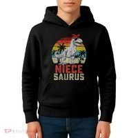 Niecesaurus T Rex Dinosaur Niece Saurus MotherS Family Kids Hoodie thumb 4