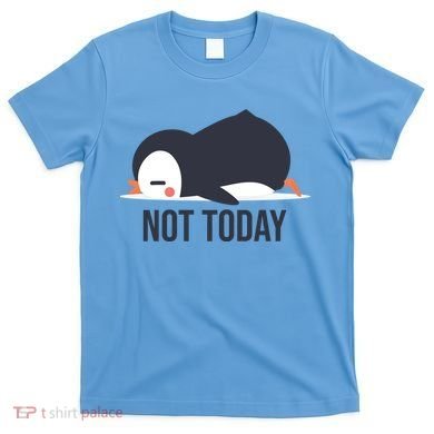 Not Today Seabird Funny Cute T-Shirt