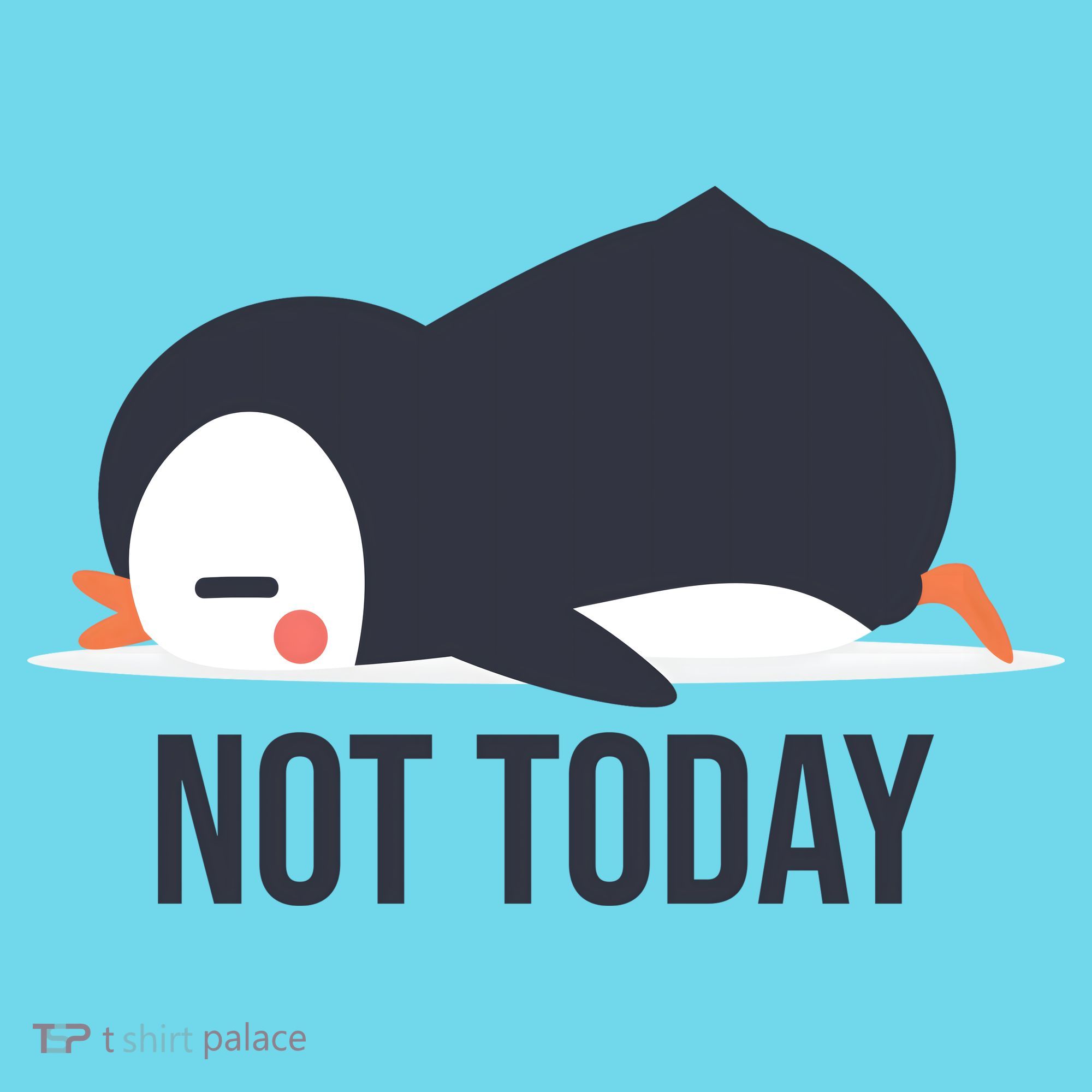 Not Today Seabird Funny Cute T-Shirt