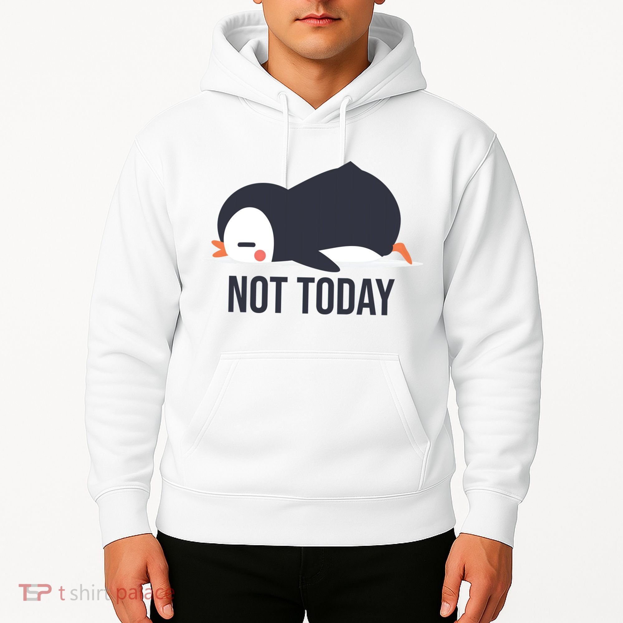 Not Today Seabird Funny Cute Hoodie