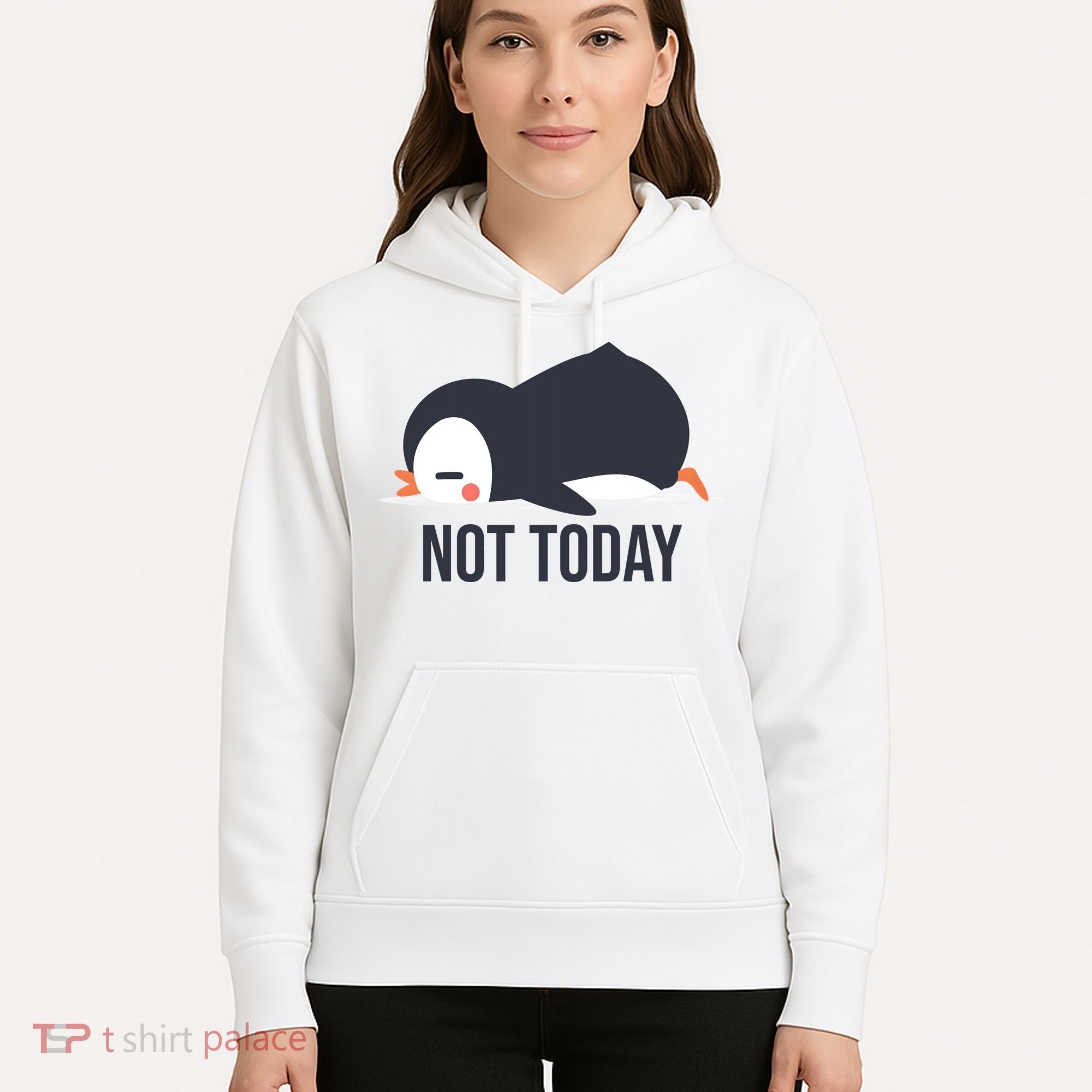 Not Today Seabird Funny Cute Hoodie