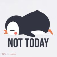 Not Today Seabird Funny Cute Women's Hoodie thumb 2
