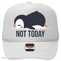 Not Today Seabird Funny Cute Hat thumb 0