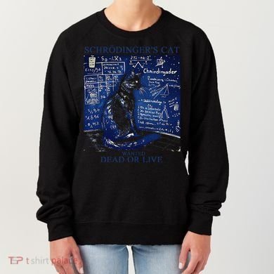 Nice Try SchröDingerS Cat Quantum Physics Humor Box Women's Sweatshirt