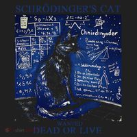 Nice Try SchröDingerS Cat Quantum Physics Humor Box Beanie thumb 2