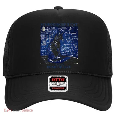 Nice Try SchröDingerS Cat Quantum Physics Humor Box Hat