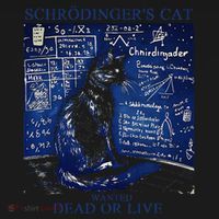 Nice Try SchröDingerS Cat Quantum Physics Humor Box Tank Top thumb 6