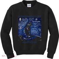 Nice Try SchröDingerS Cat Quantum Physics Humor Box Kids Sweatshirt thumb 0
