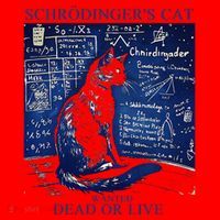 Nice Try SchröDingerS Cat Quantum Physics Humor Box Santa Hat thumb 1