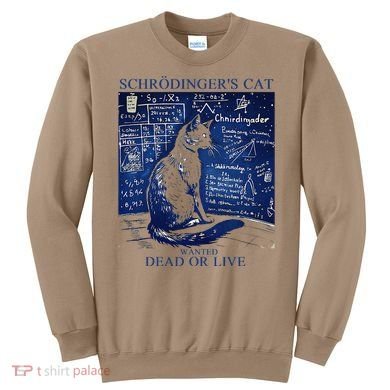 Nice Try SchröDingerS Cat Quantum Physics Humor Box Sweatshirt