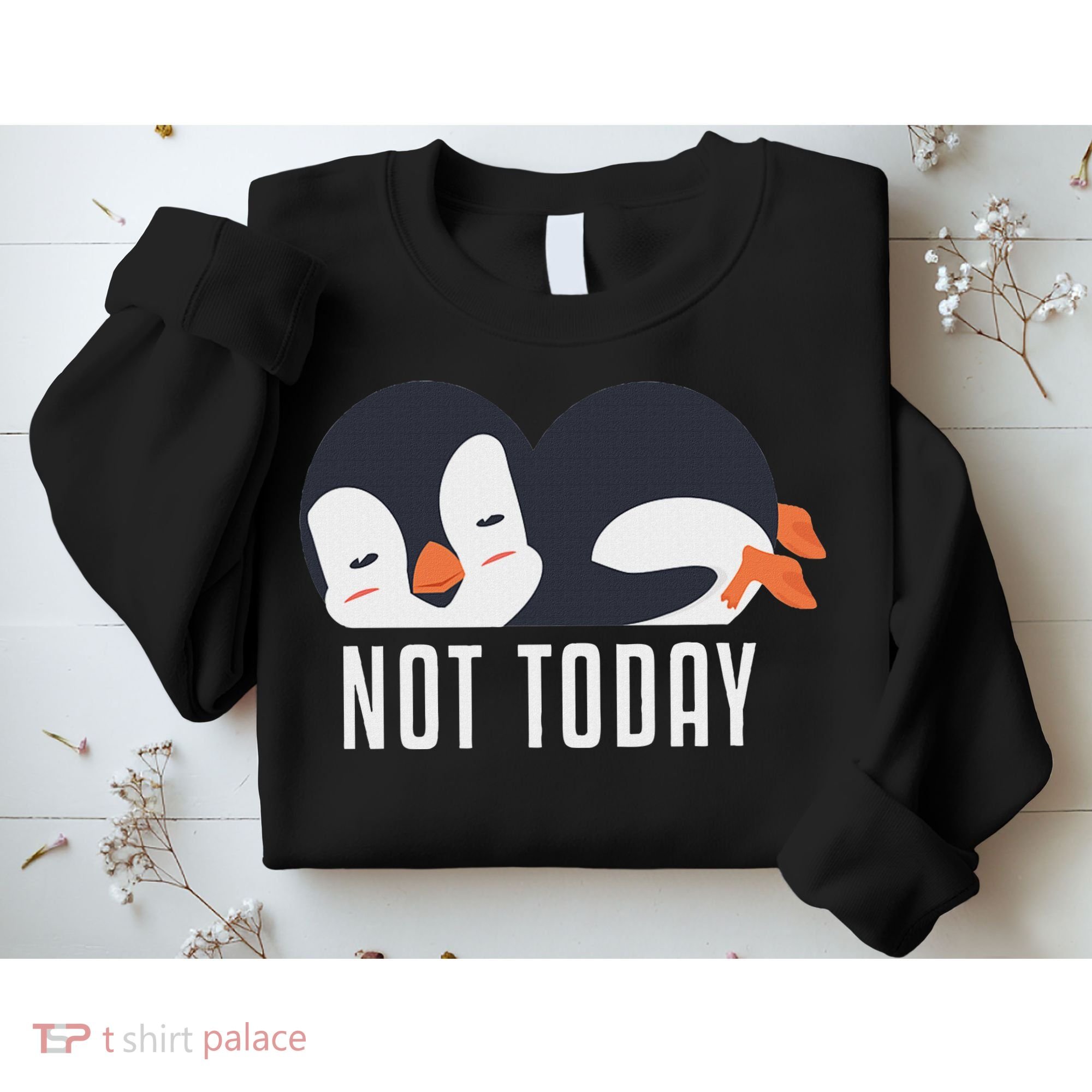 Not Today Sea Bird King Emperor Penguin Lover Penguin Sweatshirt