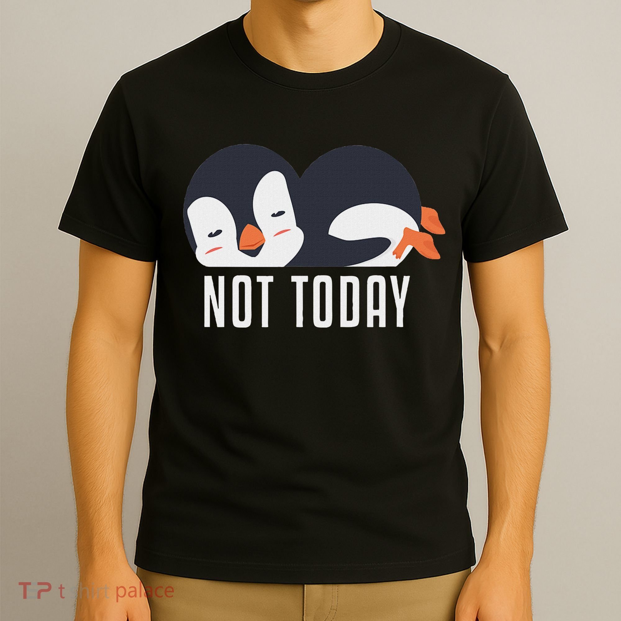 Not Today Sea Bird King Emperor Penguin Lover Penguin T-Shirt