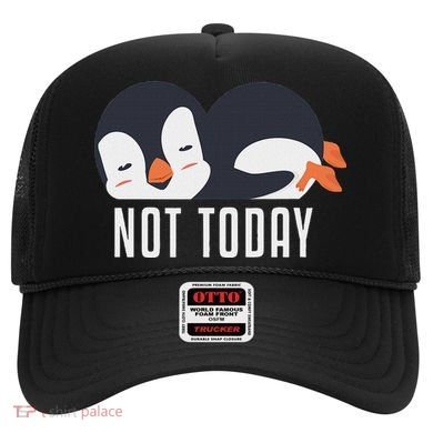 Not Today Sea Bird King Emperor Penguin Lover Penguin Hat