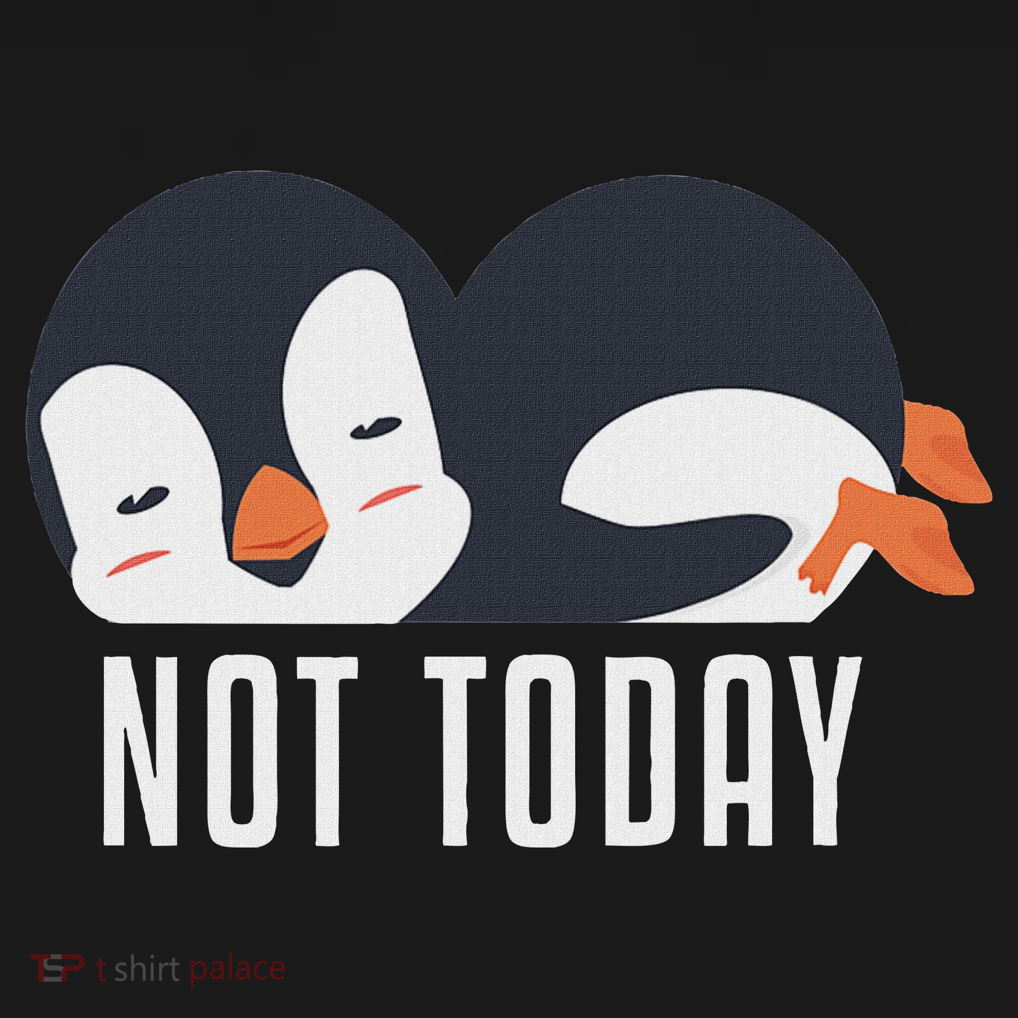 Not Today Sea Bird King Emperor Penguin Lover Penguin Toddler T-Shirt