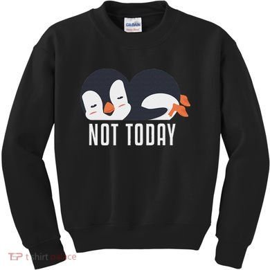 Not Today Sea Bird King Emperor Penguin Lover Penguin Kids Sweatshirt