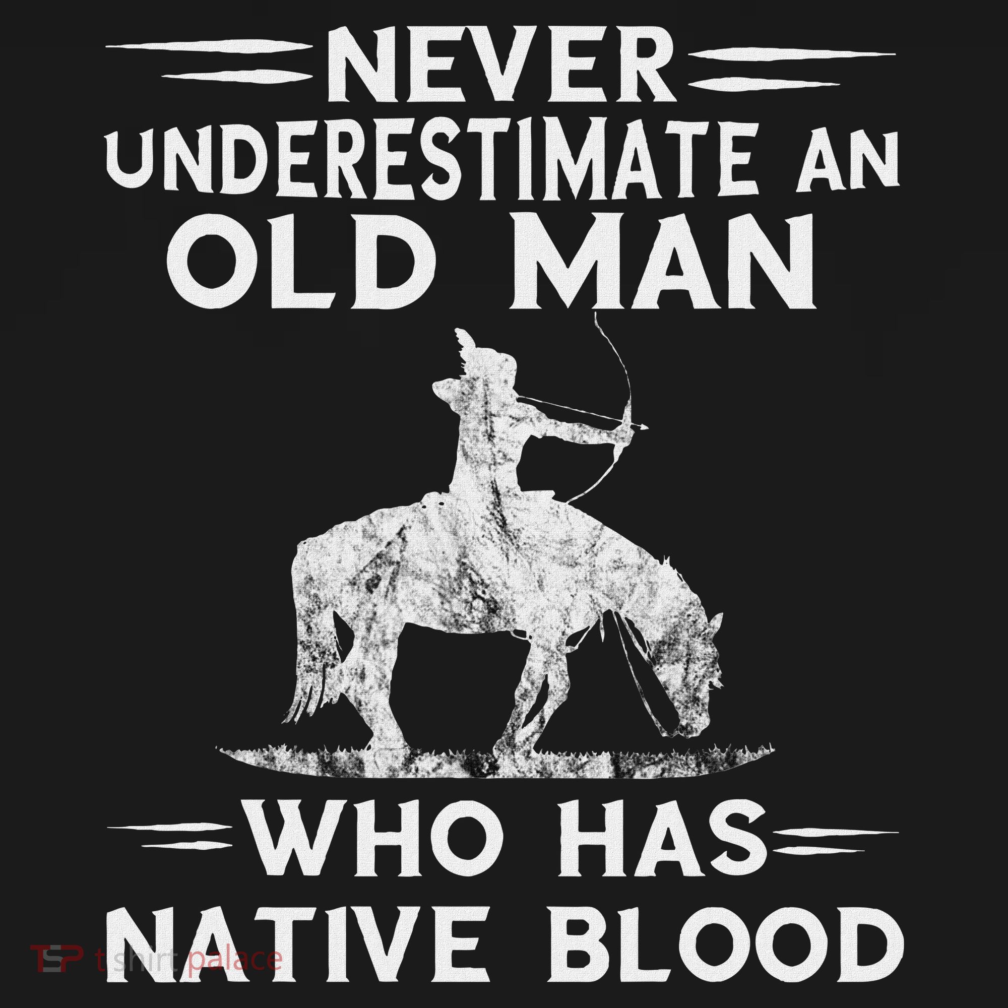 Never Underestimate An Old Man Native American Warrior Apron