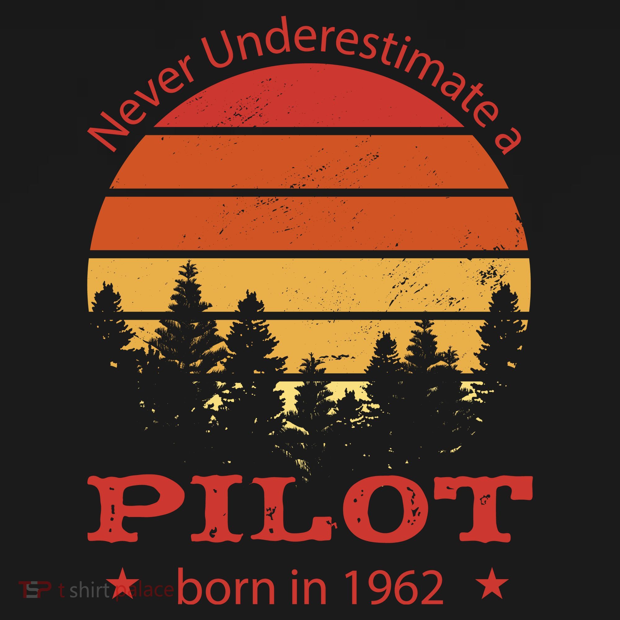 Never Underestimate A Pilot Born In 1962 Toddler Hoodie