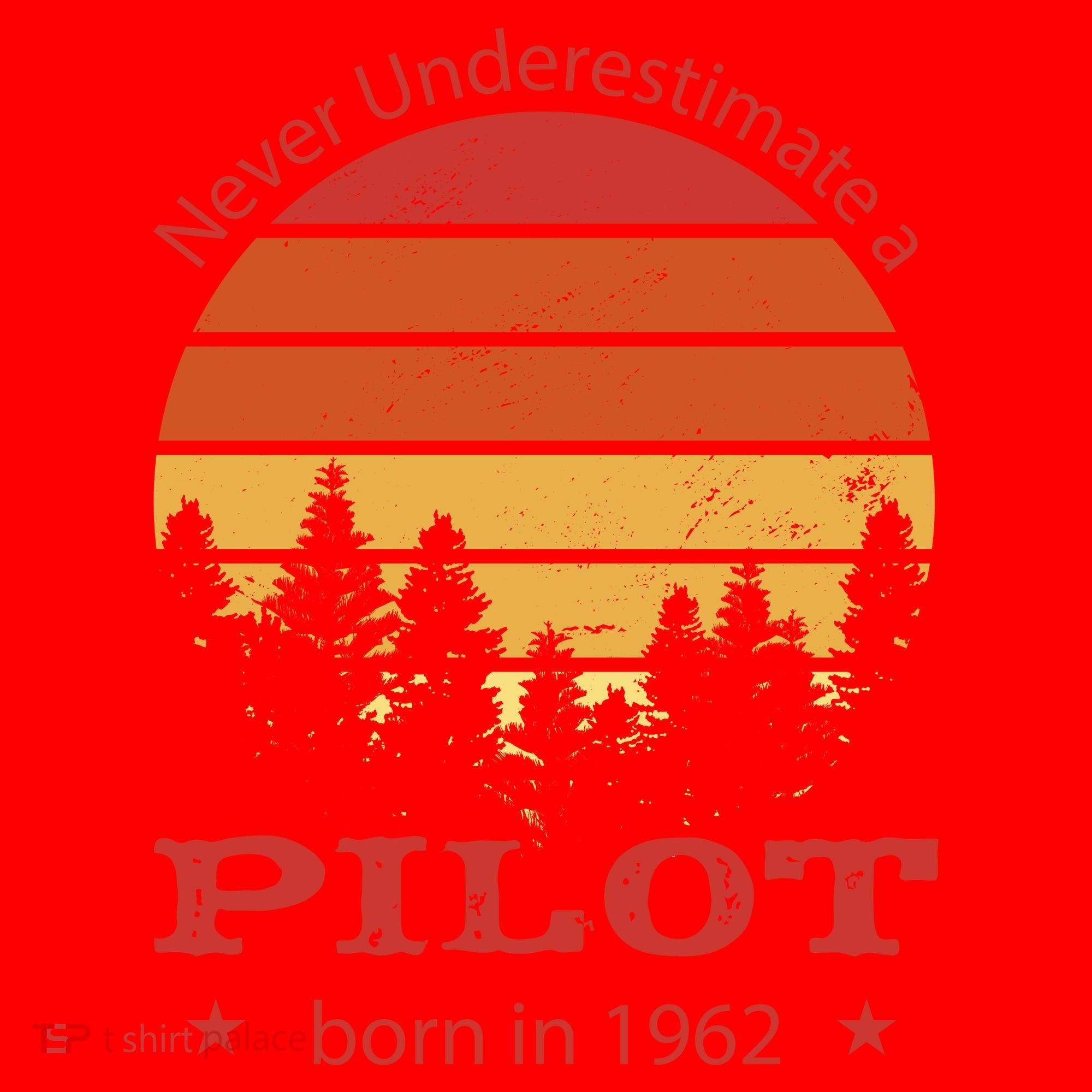 Never Underestimate A Pilot Born In 1962 Santa Hat