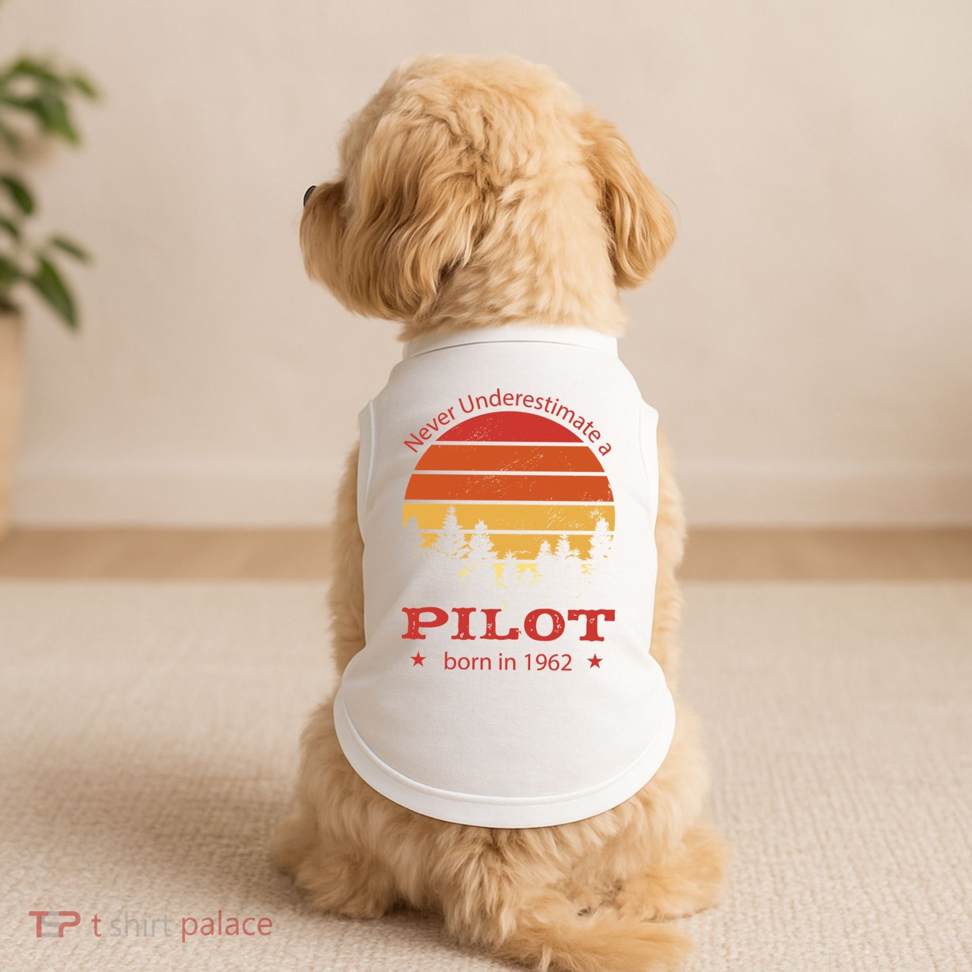 Never Underestimate A Pilot Born In 1962 Doggie Tank