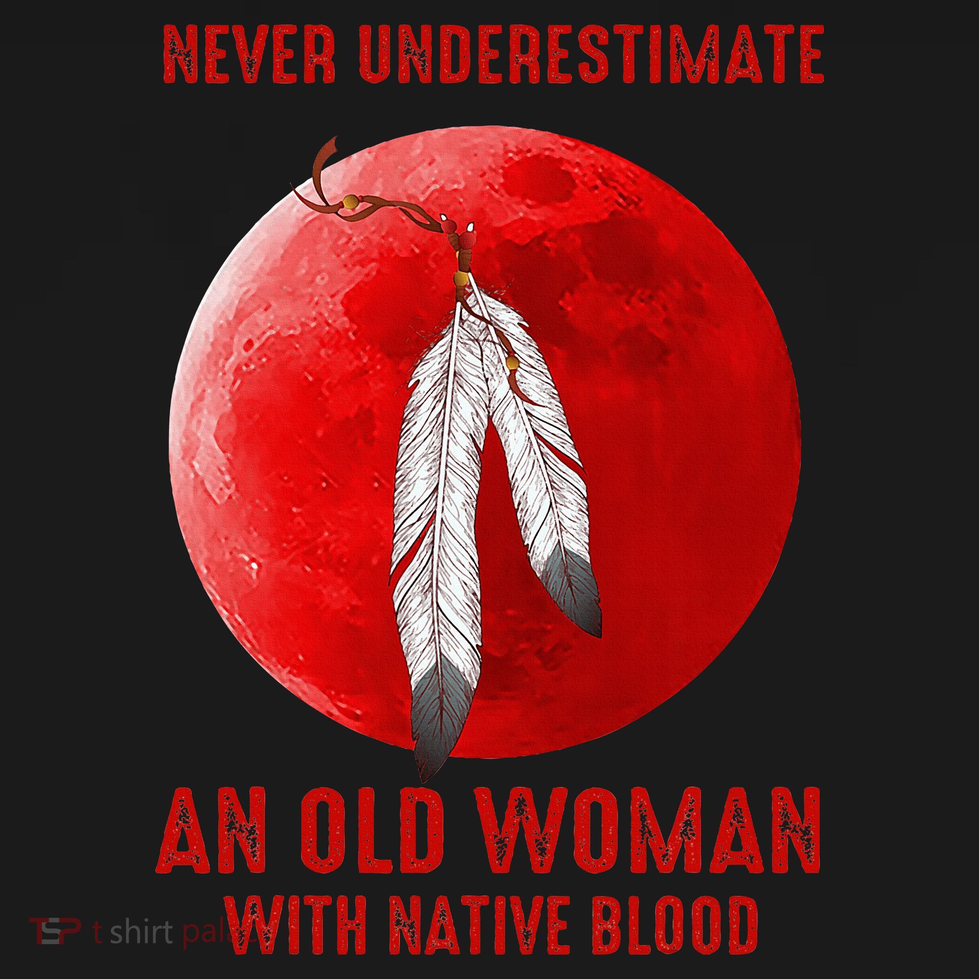 Never Underestimate An Old Woman With Native Blood Women's Hoodie