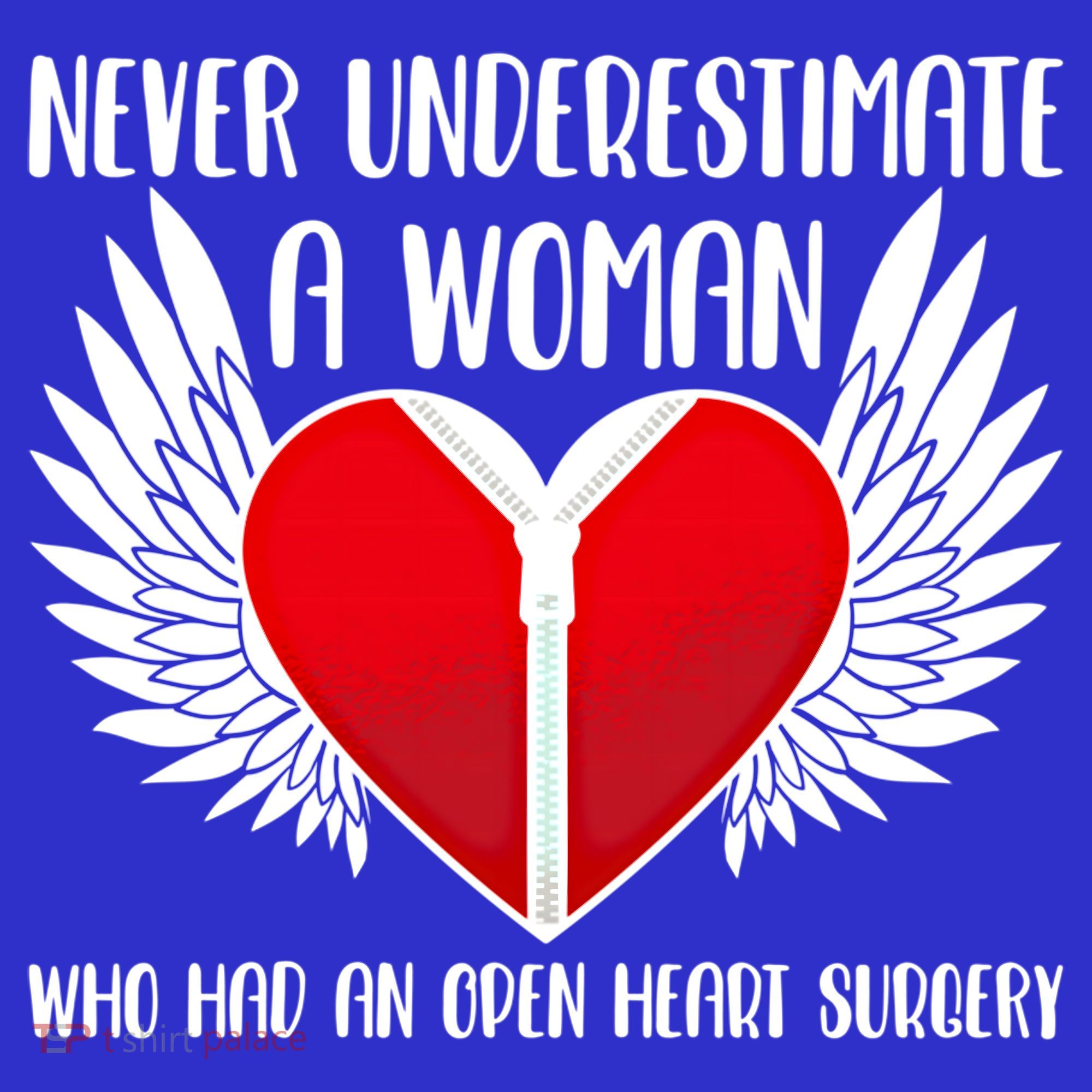 Never Underestimate A Who Had An Open Heart Surgery Gift Visor