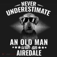 Never Underestimate An Old With Airedale Terrier Gift Pajama Set thumb 2