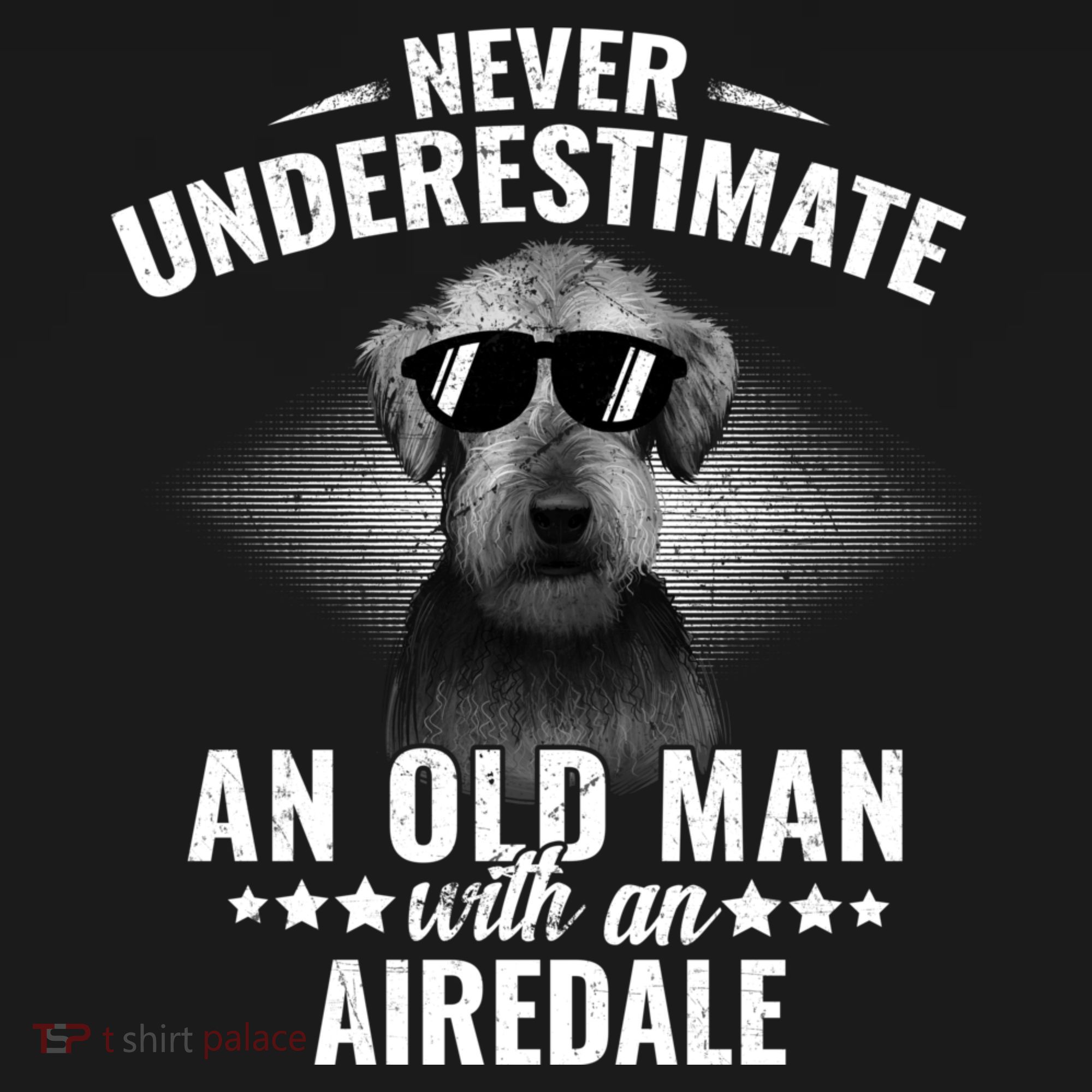 Never Underestimate An Old With Airedale Terrier Gift Women's Hoodie