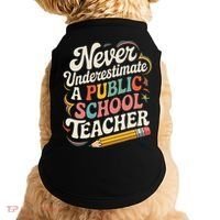 Never Underestimate A Public School Teacher Public Education Doggie Tank thumb 0