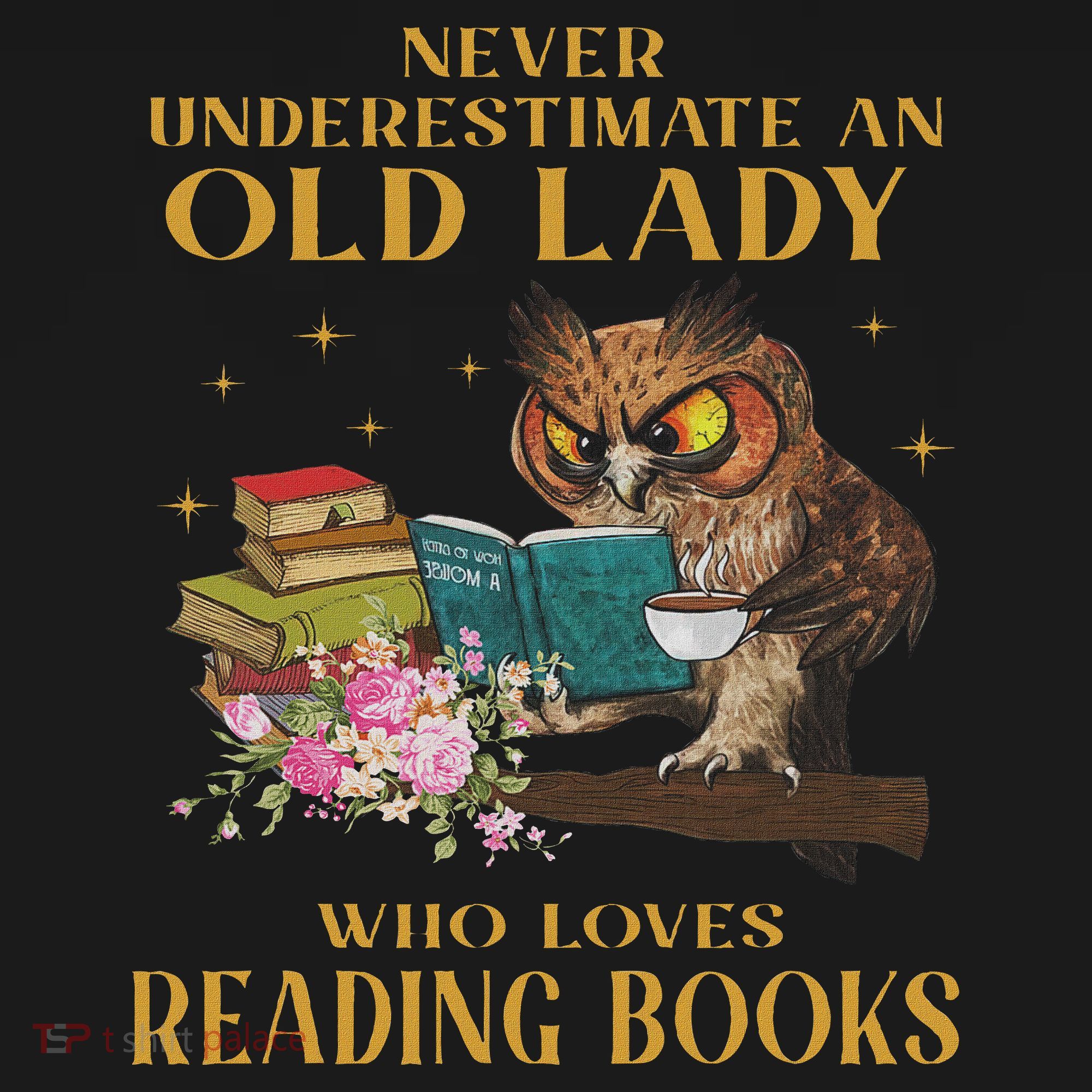 Never Underestimate An Old Lady Who Loves Reading Book Owl Women's Hoodie