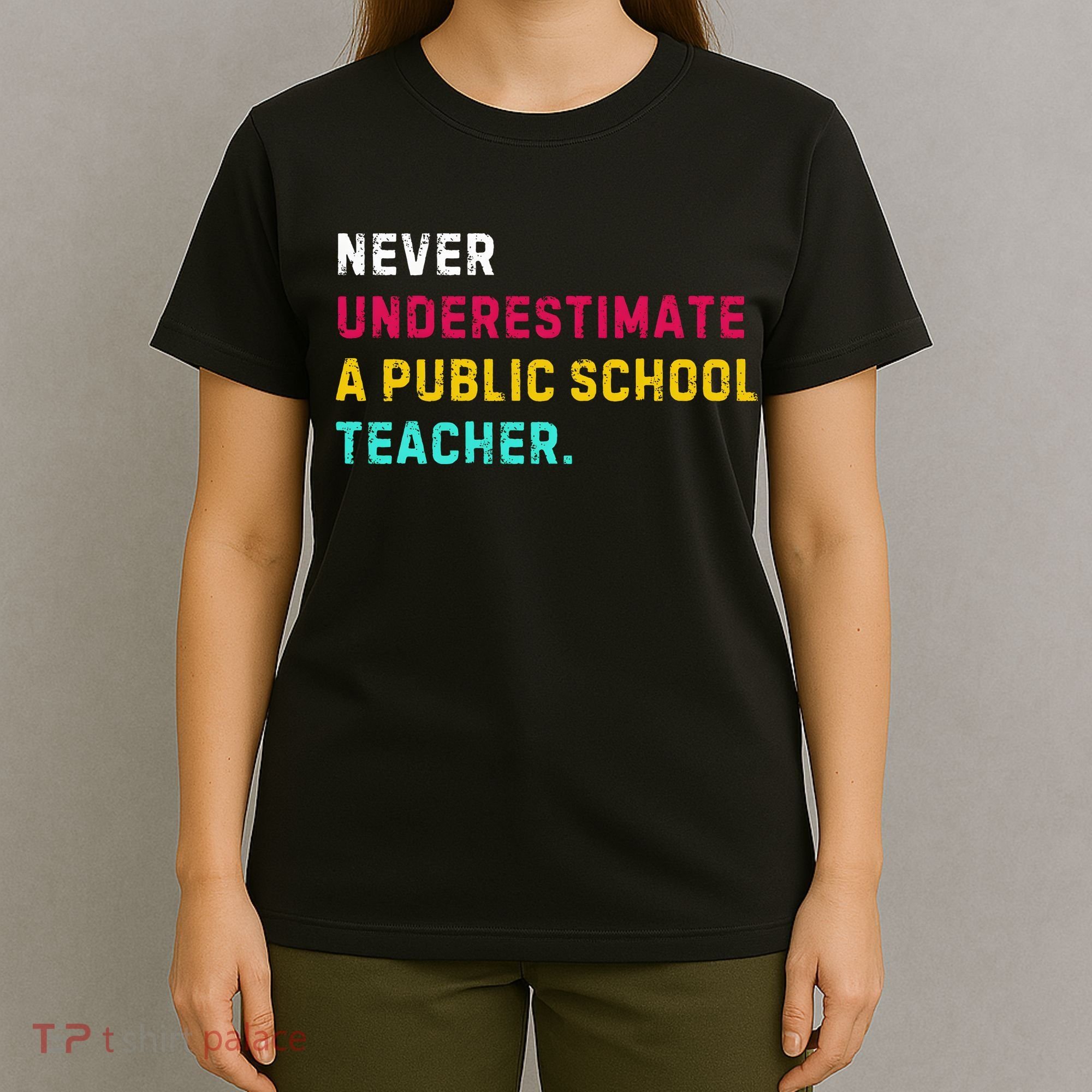 Never Underestimate A Public School Teacher T-Shirt