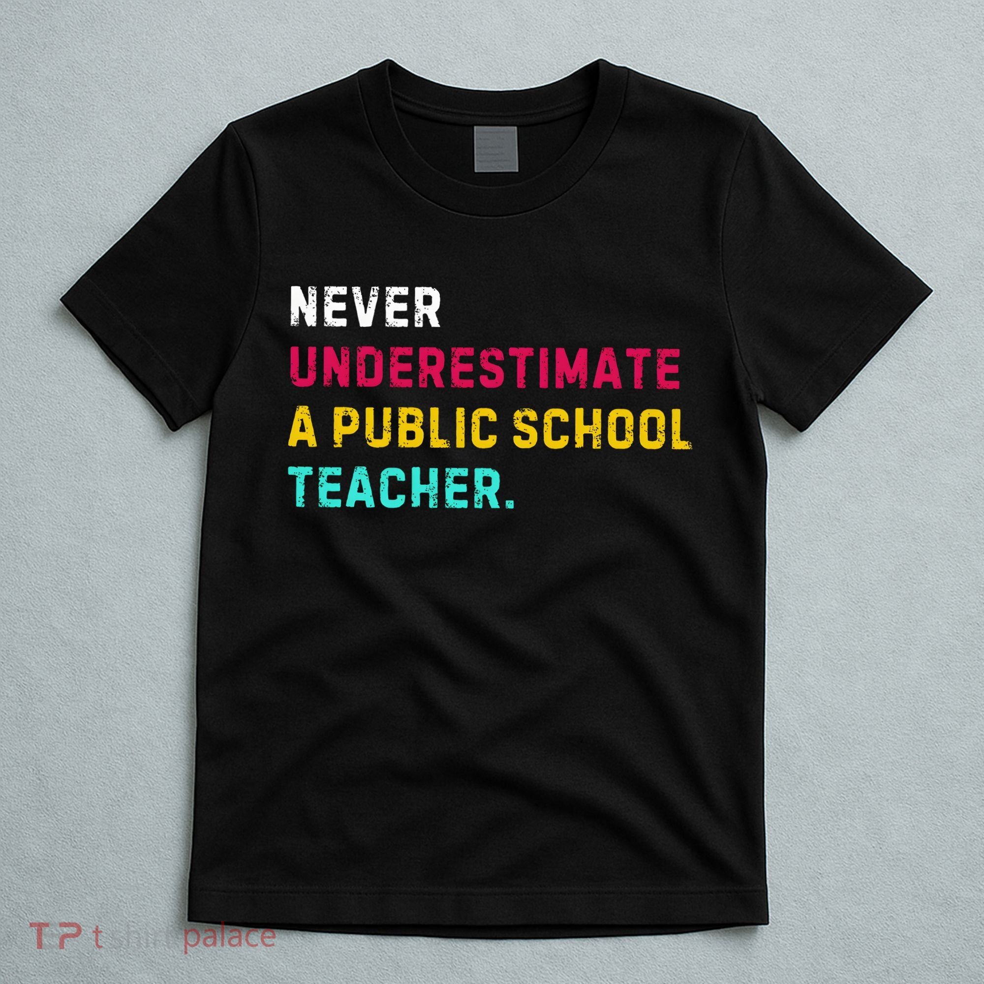 Never Underestimate A Public School Teacher T-Shirt