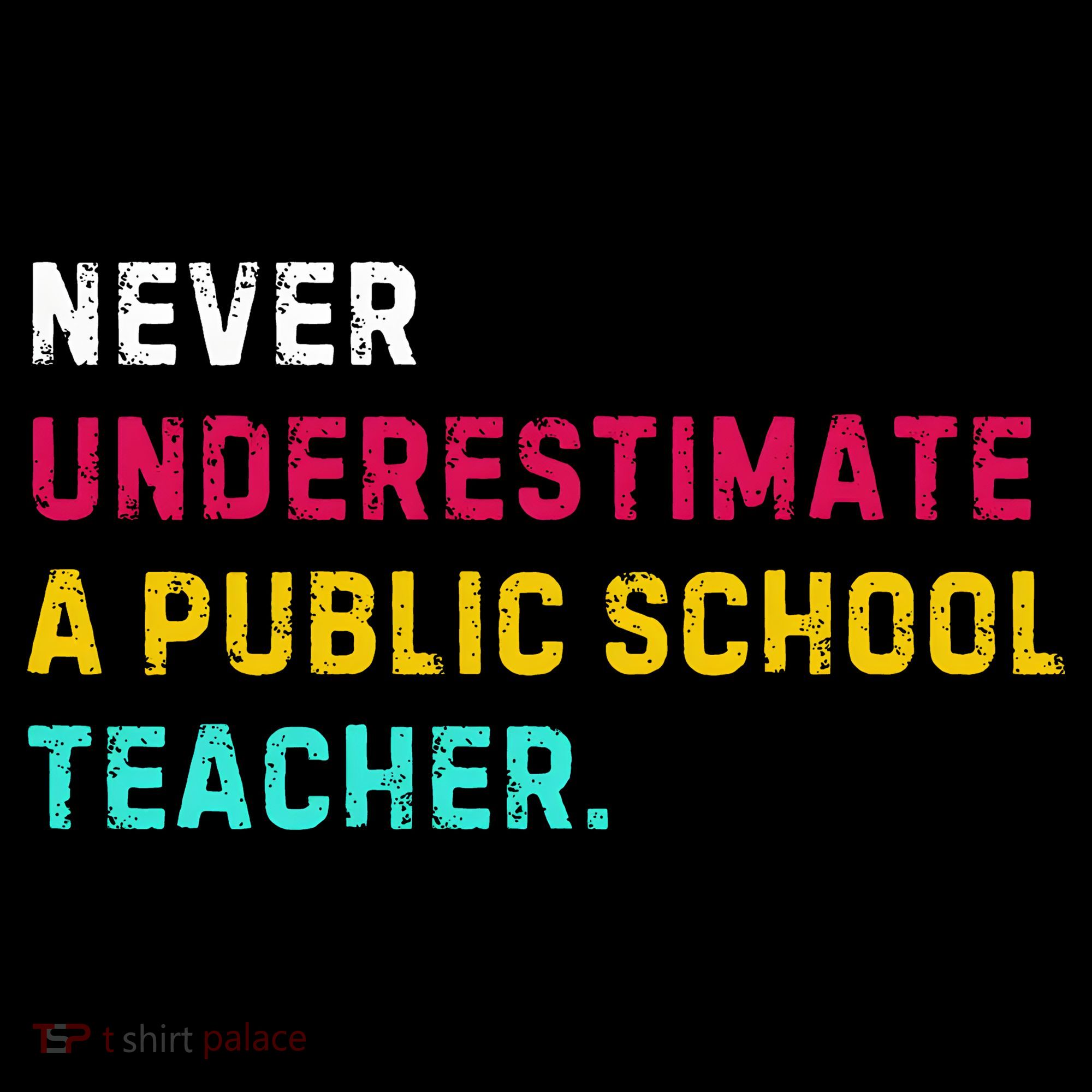 Never Underestimate A Public School Teacher Women's Hoodie