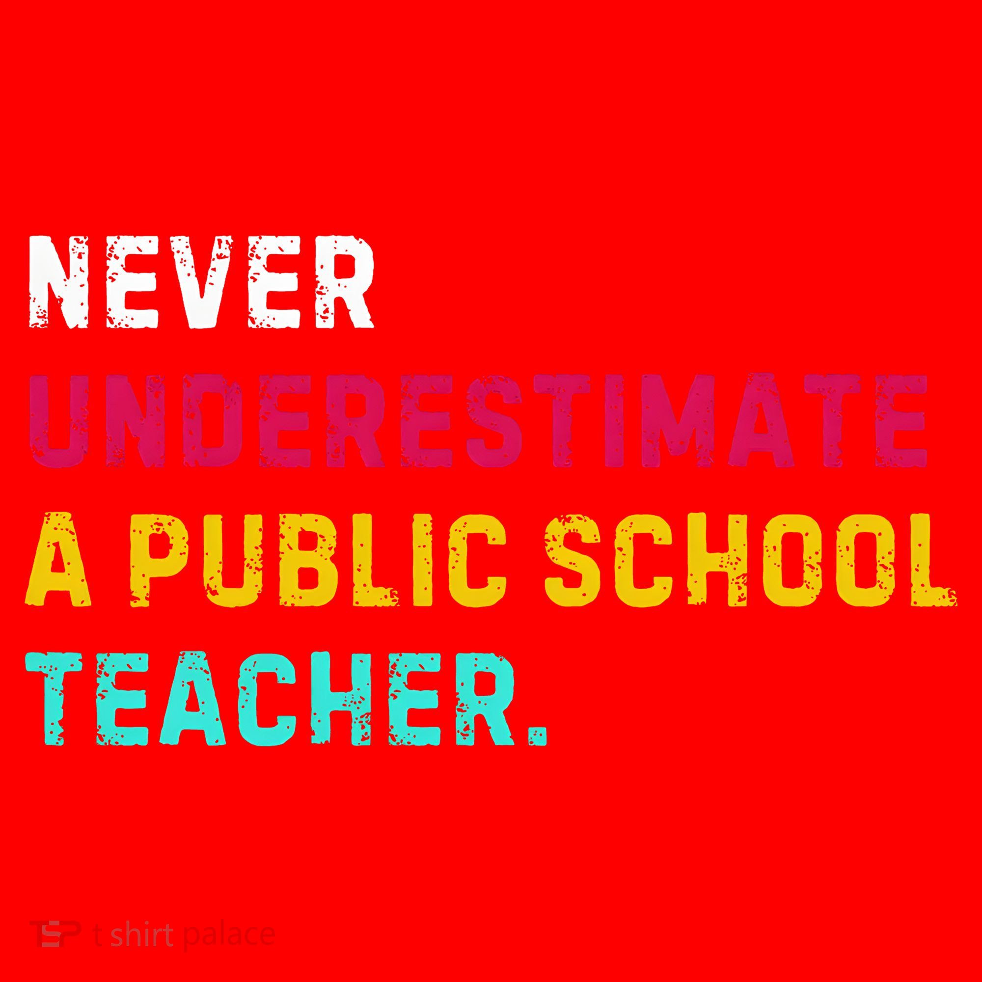 Never Underestimate A Public School Teacher Santa Hat