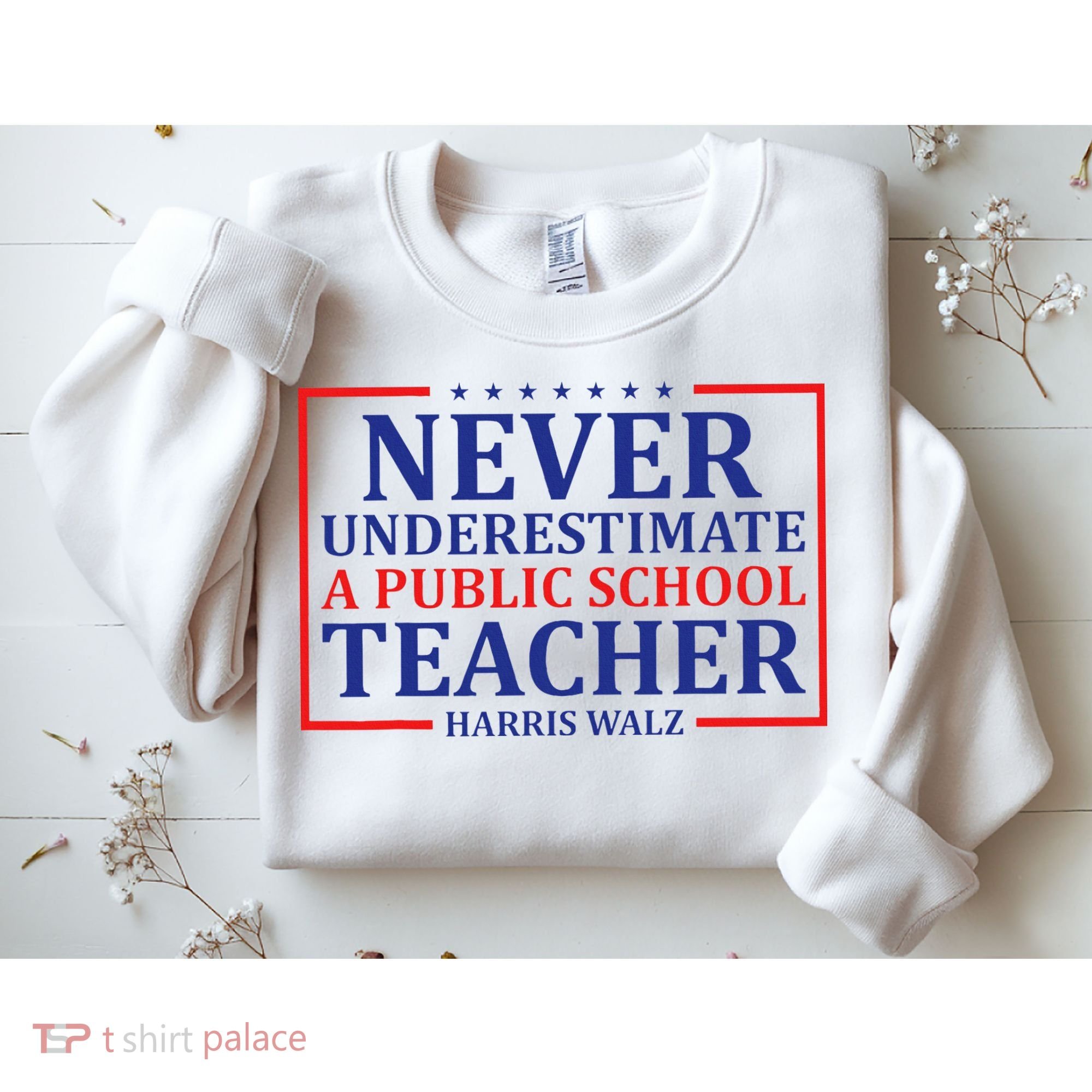 Never Underestimate A Public School Teacher Harris Waltz Sweatshirt