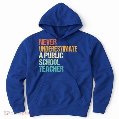 Never Underestimate A Public School Teacher Harris Walz 2024 Hoodie