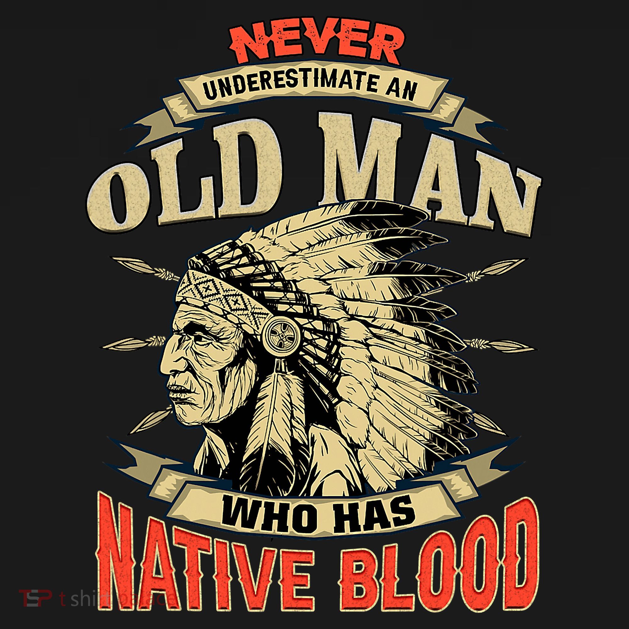 Never Underestimate An Old Man Who Has Native Blood Apron