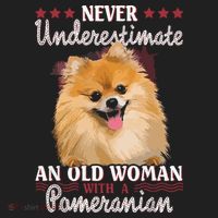 Never Underestimate An Old Woman With Pomeranian Tumbler thumb 3