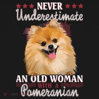 Never Underestimate An Old Woman With Pomeranian Ornament thumb 1