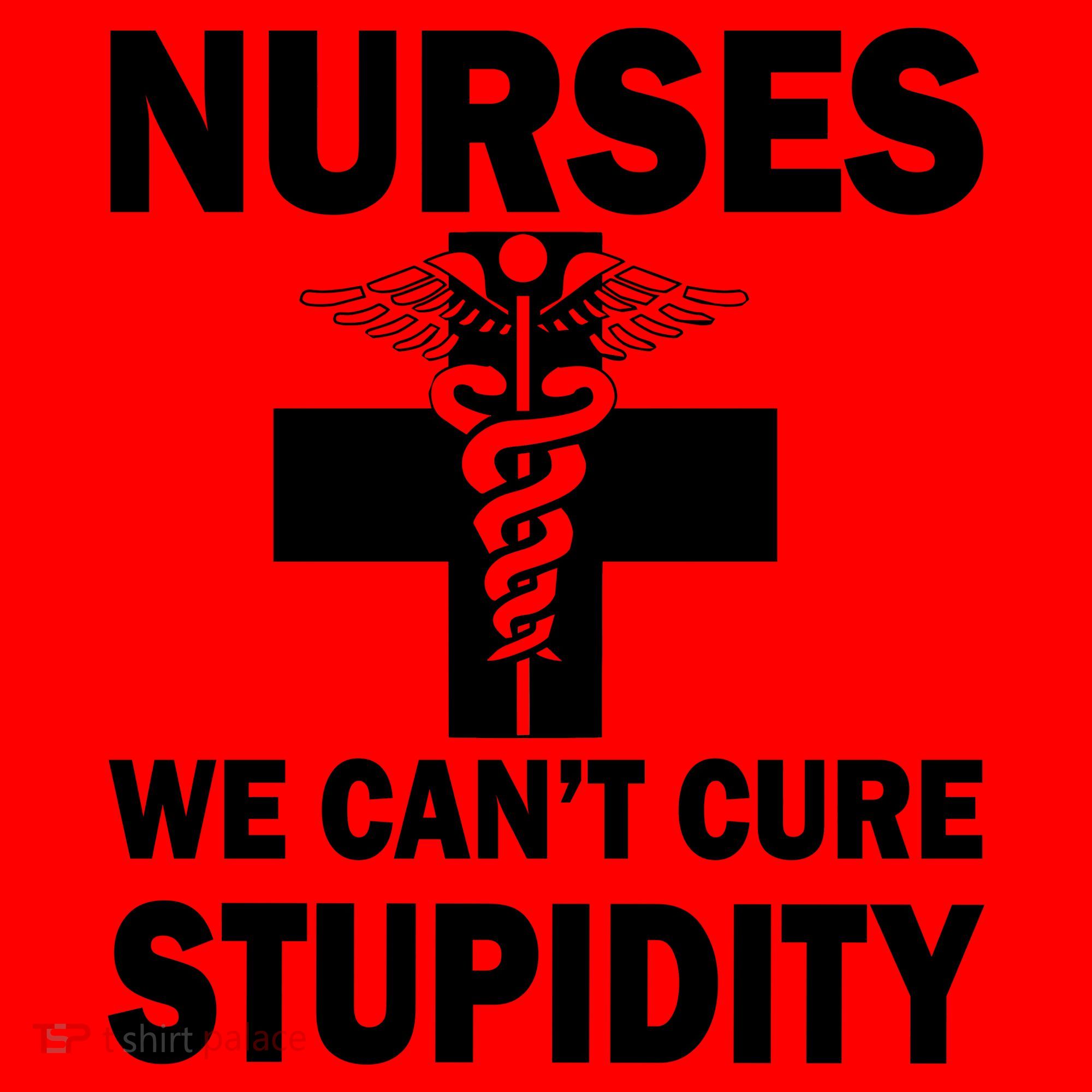 Nurses We Can't Cure Stupidity Santa Hat