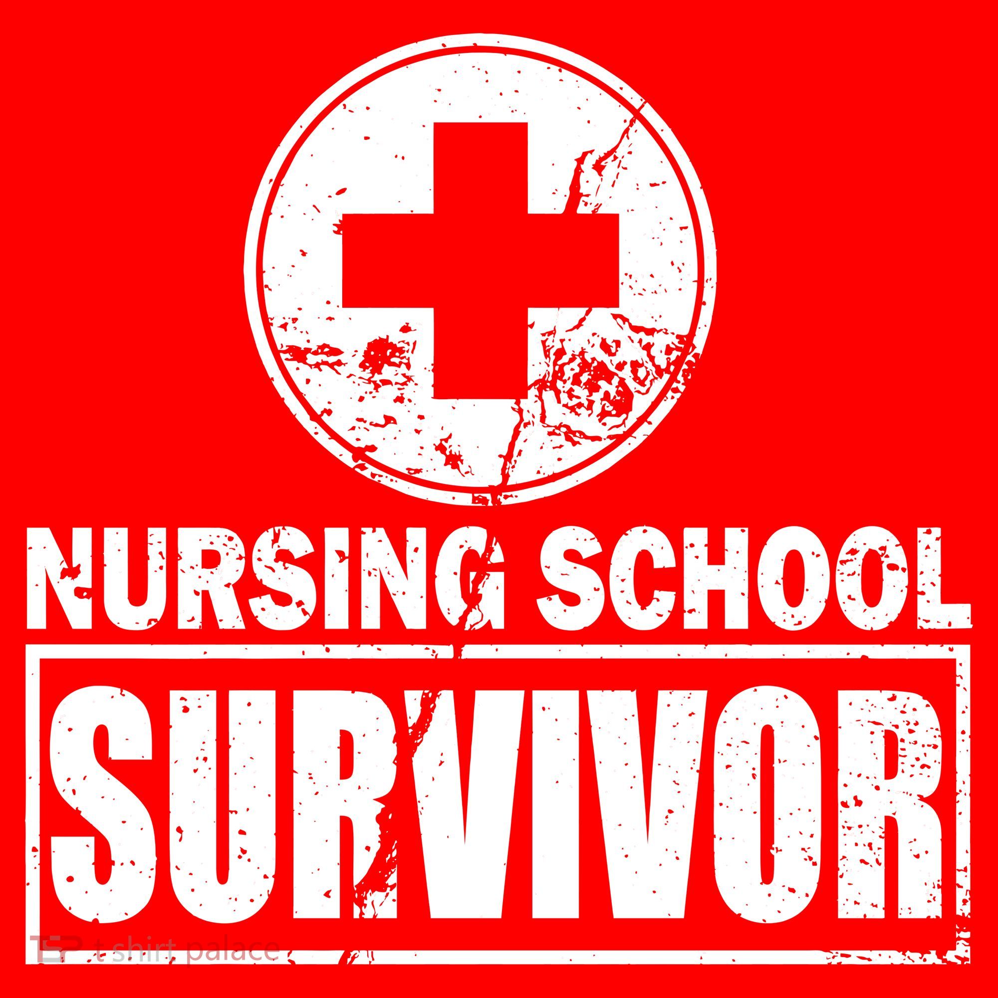 Nursing School Survivor Hoodie