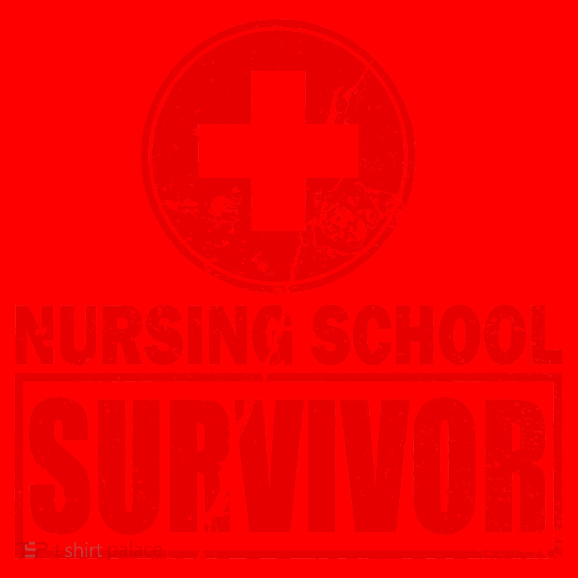 Nursing School Survivor Santa Hat