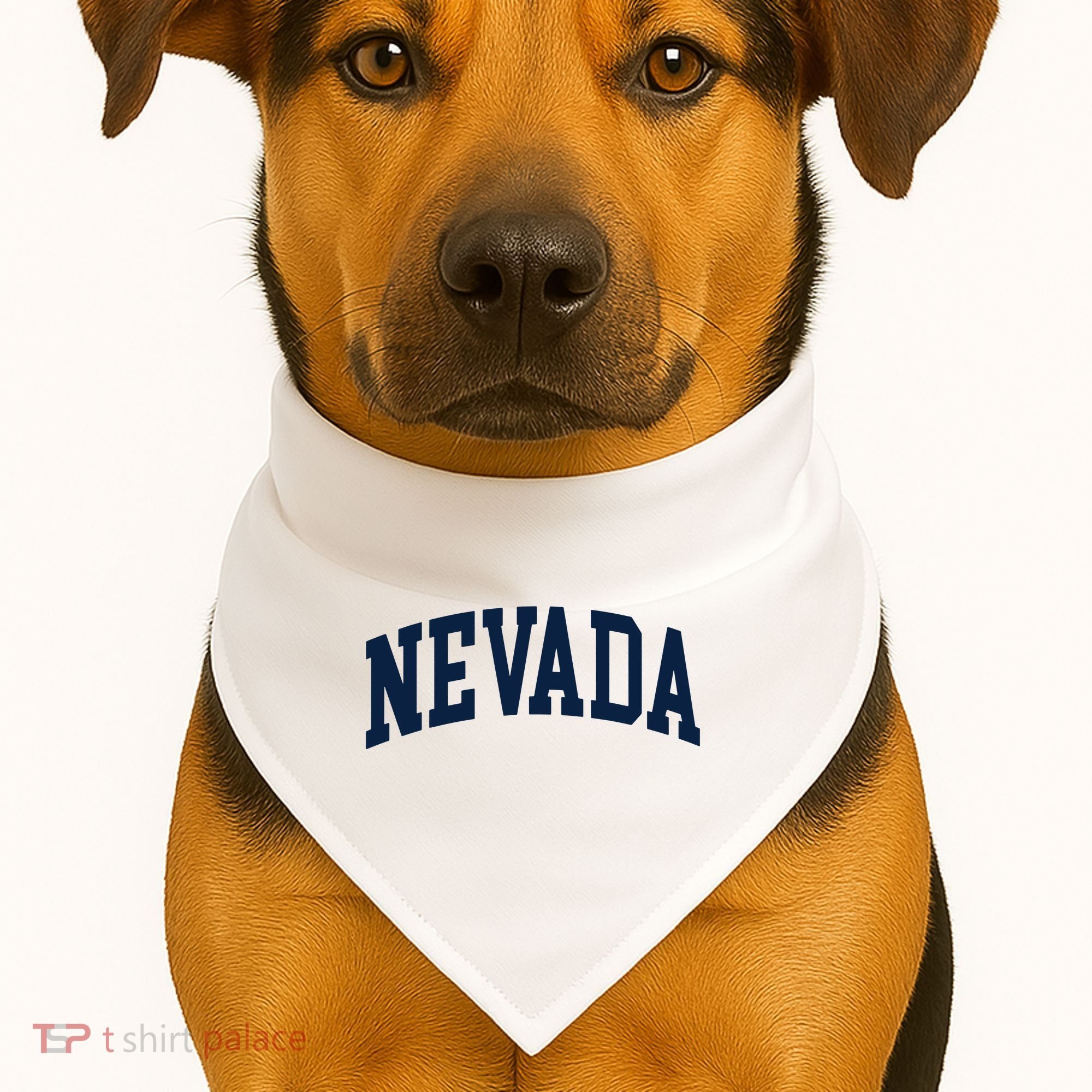 Nevada Usa Varsity Style Blue Text USA-Made Doggie Bandana